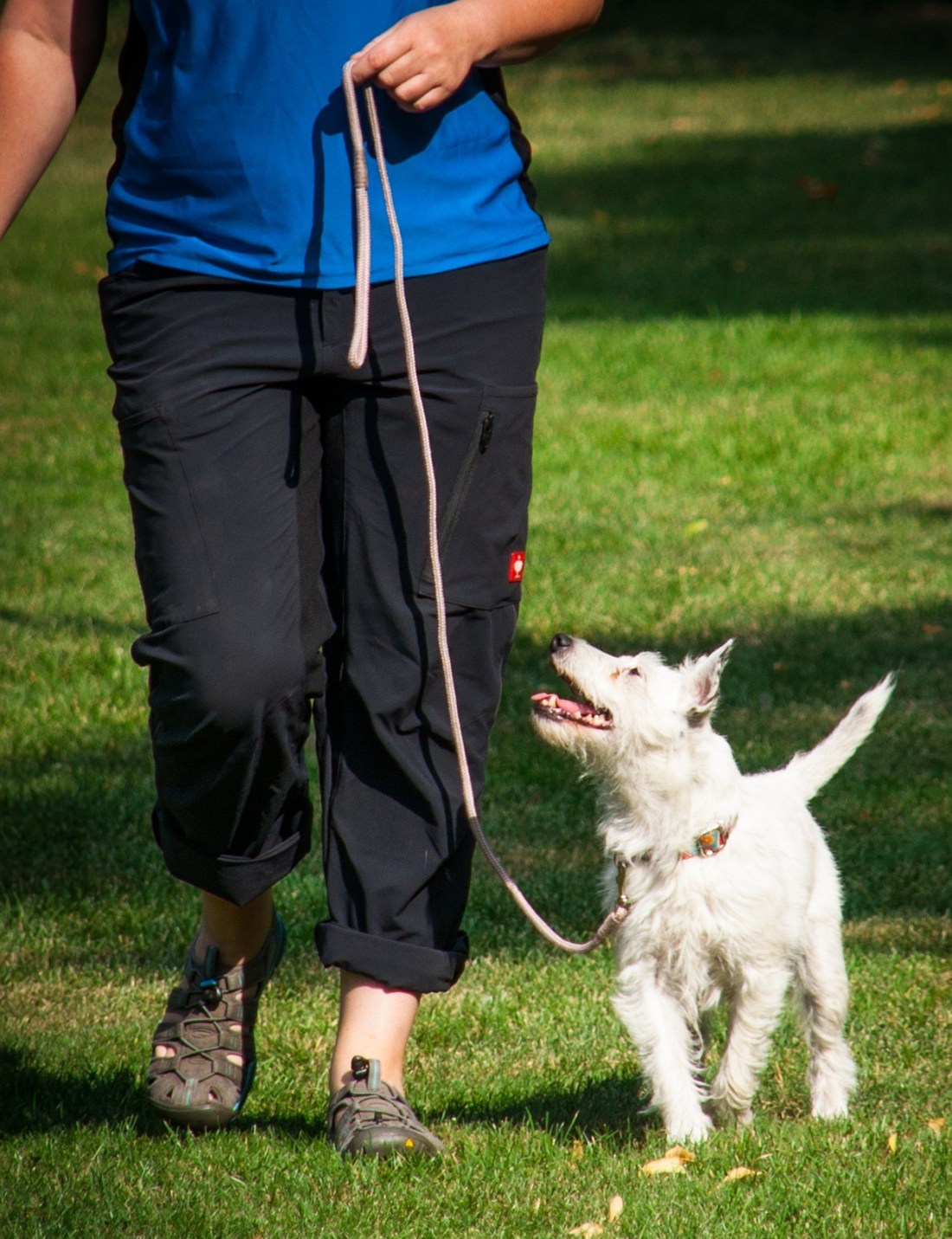 run-Image by susanne906 from Pixabay