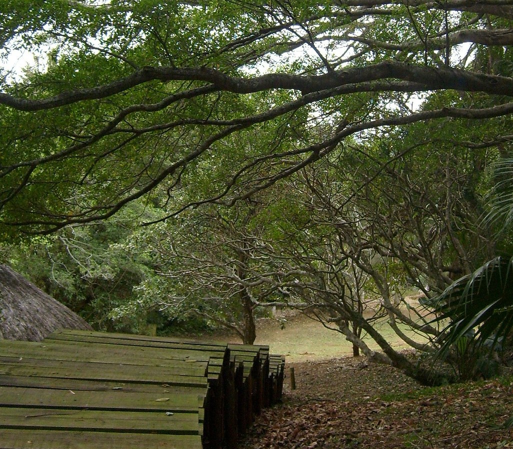 trail-Image by serenasampson from Pixabay