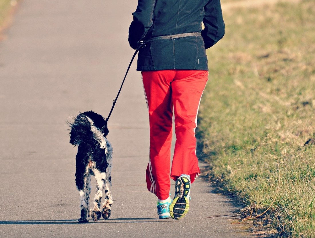 woman-Image by Mabel Amber, still incognito... from Pixabay