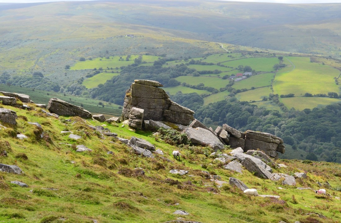 landscape-Image by Elinor Puttick from Pixabay